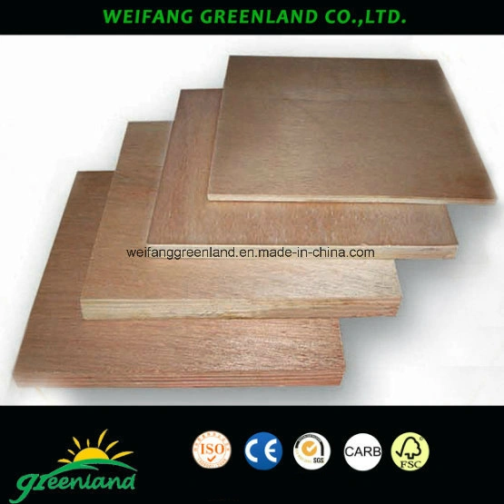 Good Quality Poplar Core Commercial Plywood for High Grade Furniture Produce