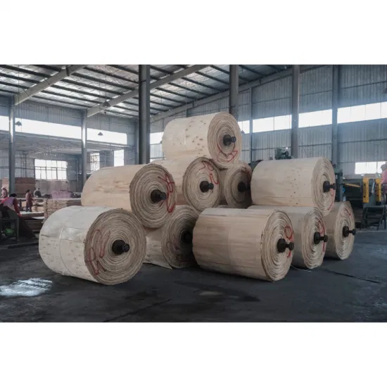 1220*2440*3.6/5.2/9/12/15/18mm Bintangor Plywood Poplar Core BB/CC Packing/Decoration/Furniture