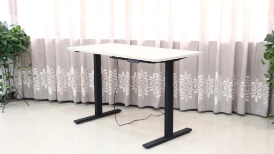 Electric Dual Motor Computer Portable Table Leg Height Adjustable Desk