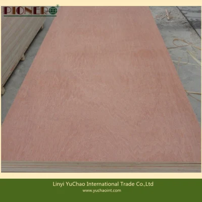 Hot Sales Commercial Plywood for Middle East and North Africa