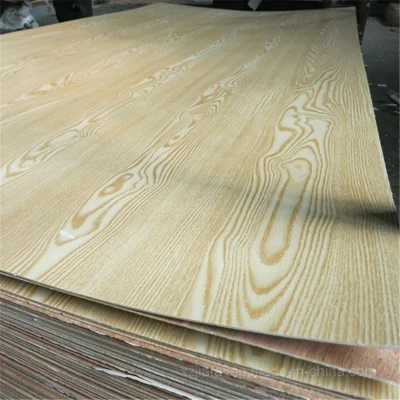 Many Colors Available Poly Coated Plywood/Polyester Plywood